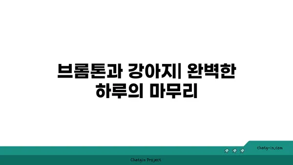 강아지와 함께 브롬톤 아라뱃길 라이딩