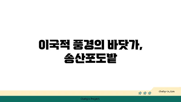 여기는 한국 맞아? 시흥의 이국적 매력, 꼭 가봐야 할 곳 5선