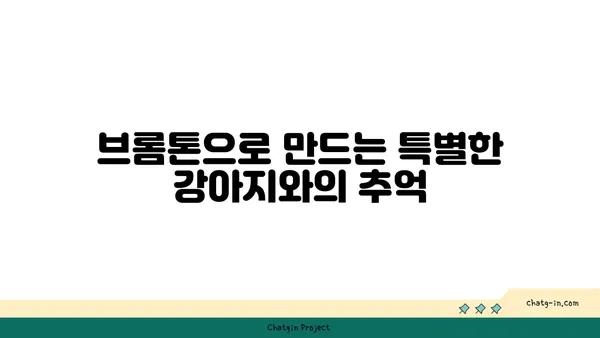 브롬톤과 함께 아라뱃길을 달리다: 강아지와 함께하는 라이딩