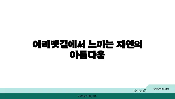 아라뱃길 자전거 라이딩의 장점과 단점