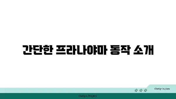 무릎 통증을 줄이는 프라나야마 수련법