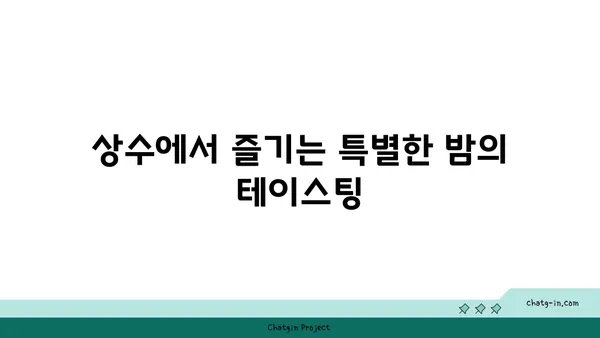 홍대의 안주와 분위기: 상수역 상수