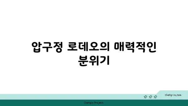 압구정 로데오 디저트 맛집 코코로미 at 서울 핫플레이스
