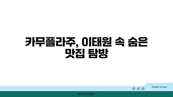 이태원 이색 녹사평역 맛집: 카무플라주