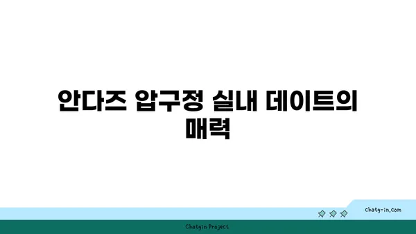 안다즈 압구정 핫플레이스: 실내 데이트 예약