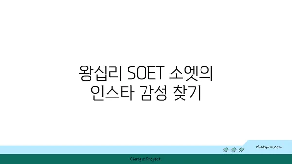 왕십리 핫플레이스 SOET 소엣