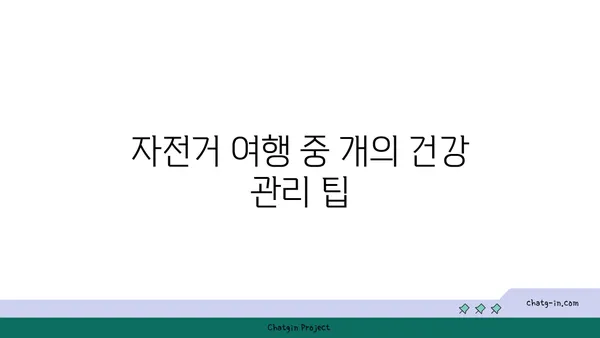 아라뱃길에서 자전거를 타는 동안 개를 데리고 다니기