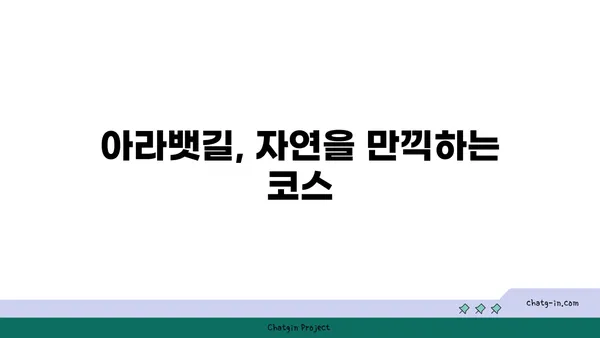 거대한 TCR로 한강 로드 라이딩: 여의도에서 아라뱃길까지