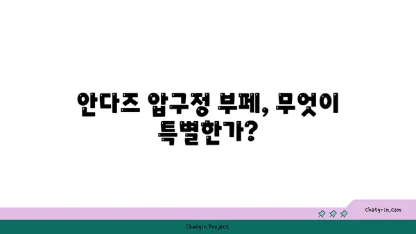안다즈 압구정의 부페: 예약 필수 핫플레이스