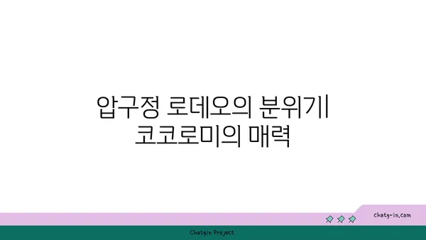 압구정 로데오의 디저트 천국: 코코로미