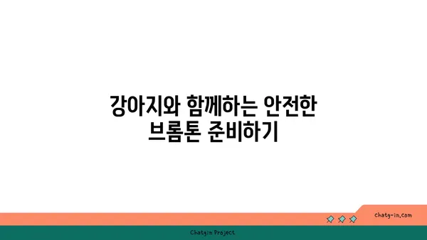 강아지와 함께 브롬톤 아라뱃길 라이딩