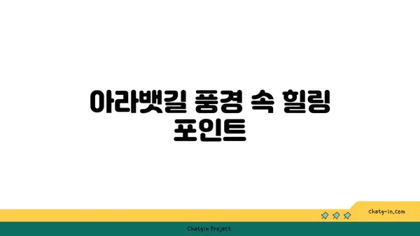 라메르 베이커리 카페에서 맛있는 것을 먹고 아라뱃길을 달리다