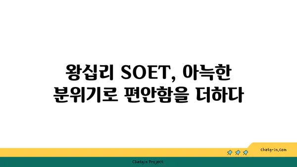 왕십리 핫플레이스 SOET 소엣에서 분위기 좋은 술집 즐기기