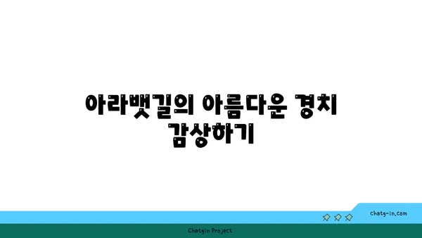 아라뱃길까지 자전거 라이딩: 새로운 길의 탐험