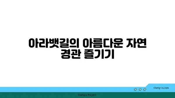 가족과 함께 아라뱃길 라이딩, 추억을 만들다