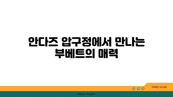 안다즈 압구정 맛집: 부베트, 실내 데이트, 서울 핫 플레이스