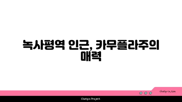 이태원 이색 녹사평역 맛집: 카무플라주