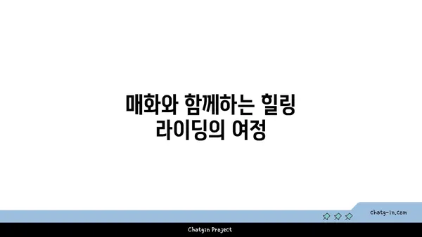 청계천 매화와 함께 하는 아라뱃길 라이딩