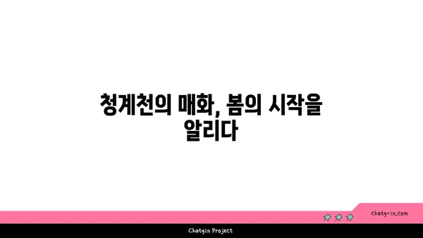 청계천 매화와 함께 하는 아라뱃길 라이딩