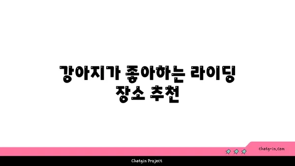 브롬톤과 함께 아라뱃길을 달리다: 강아지와 함께하는 라이딩
