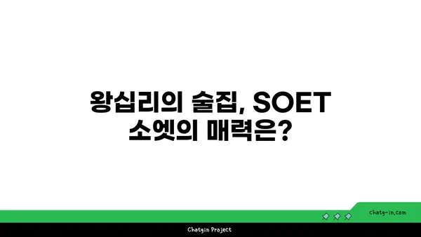 왕십리 술집 서울 핫플레이스: 분위기 맛집 SOET 소엣 한양대 술집