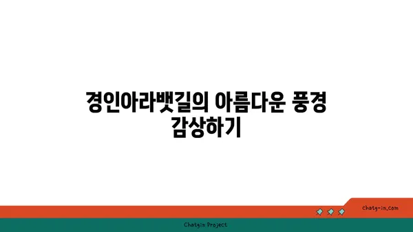 경인아라뱃길 산책과 자전거 라이딩: 커플 데이트 코스
