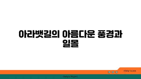 아라뱃길 저녁 라이딩의 매력
