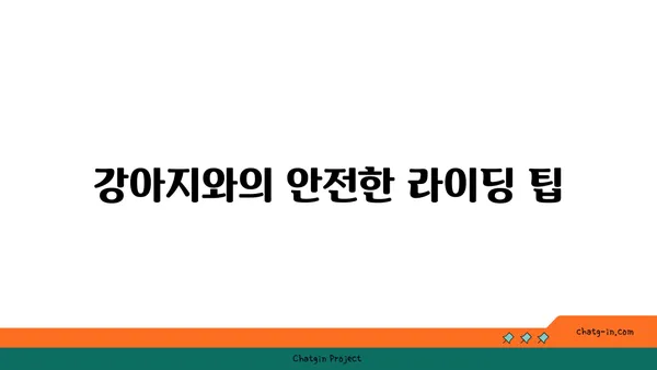 강아지와 함께하는 브롬톤 아라뱃길 라이딩