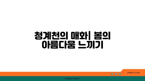 아라뱃길과 청계천 매화: 봄 라이딩의 매력