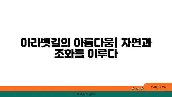 신도림에서 아라뱃길까지의 자전거 라이딩: 아라타워에서 신선한 경치를 만끽하세요