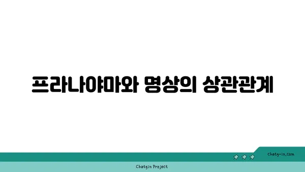 프라나야마를 통한 요가 호흡법의 이해