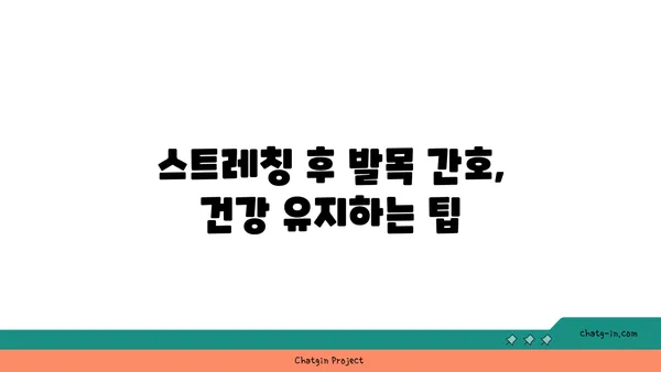 발목 건강을 위한 빈야사 요가 스트레칭법