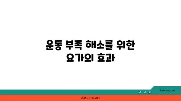 20대 운동 부족 해소를 위한 요가 추천