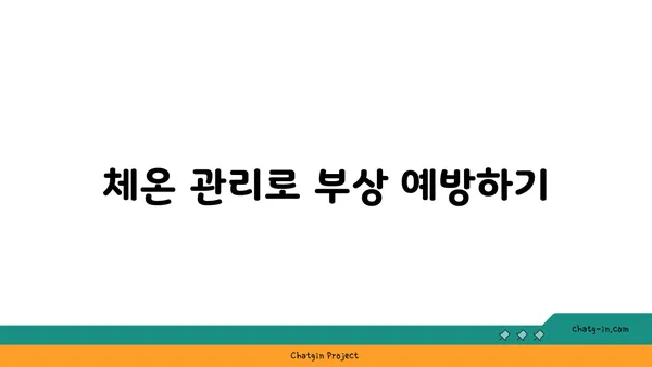핫 요가에서 체온과 수분 조절의 중요성