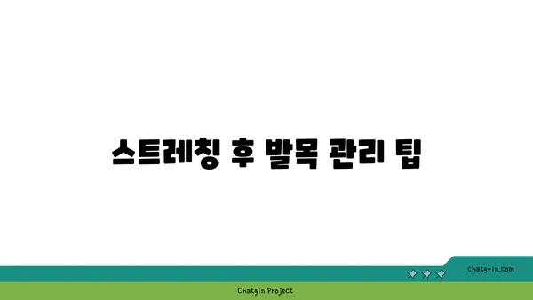발목 유연성 강화를 위한 요가 스트레칭 추천