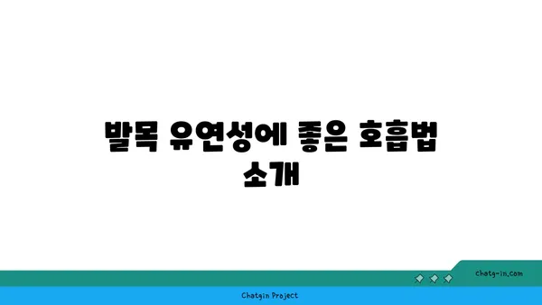 발목 유연성 강화를 위한 요가 스트레칭 추천