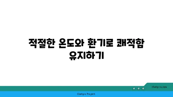 최적의 요가 수련 환경 조성법