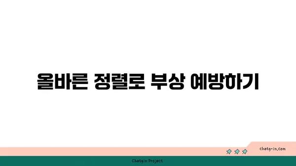 요가 자세에서 올바른 정렬의 중요성