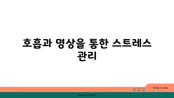 50대 이후 신체 기능 유지를 위한 요가