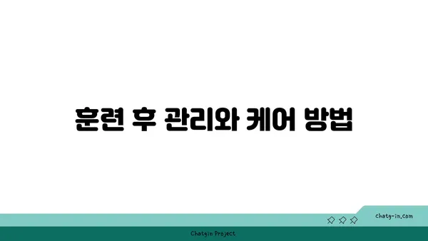 발목 유연성 강화를 위한 아이엔가 요가 루틴