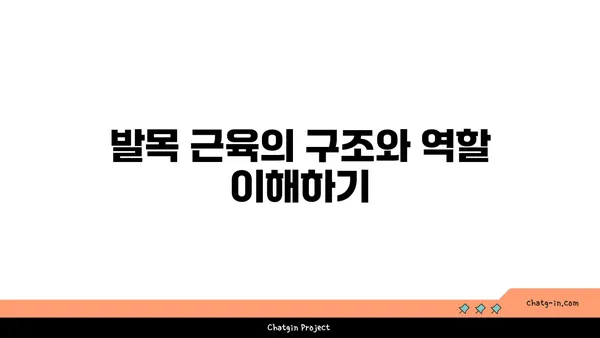 발목 근육 강화를 위한 아이엔가 요가 스트레칭