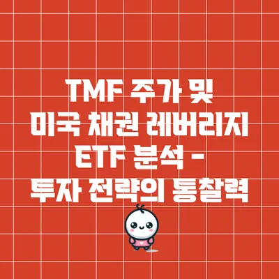 TMF 주가 및 미국 채권 레버리지 ETF 분석 - 투자 전략의 통찰력