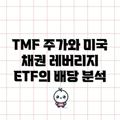 TMF 주가와 미국 채권 레버리지 ETF의 배당 분석