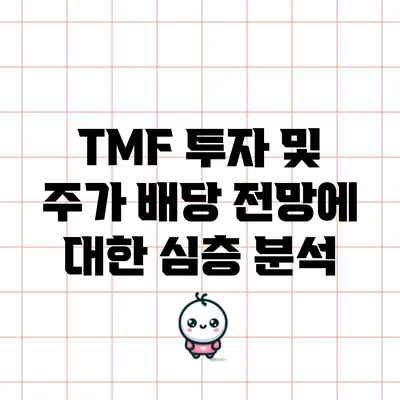 TMF 투자 및 주가 배당 전망에 대한 심층 분석