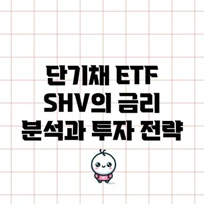 단기채 ETF SHV의 금리 분석과 투자 전략