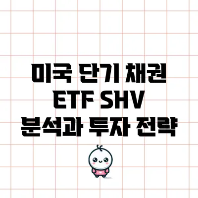 미국 단기 채권 ETF SHV 분석과 투자 전략
