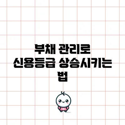 부채 관리로 신용등급 상승시키는 법