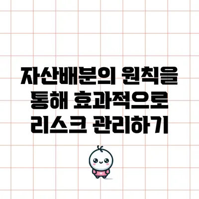 자산배분의 원칙을 통해 효과적으로 리스크 관리하기
