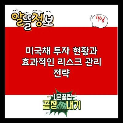 미국채 투자 현황과 효과적인 리스크 관리 전략