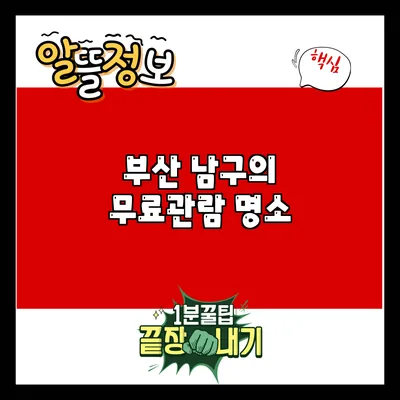 부산 남구의 무료관람 명소